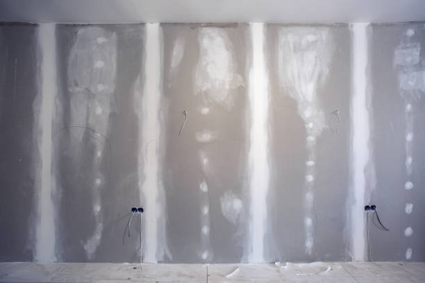 Washington, MO Mold Removal Company